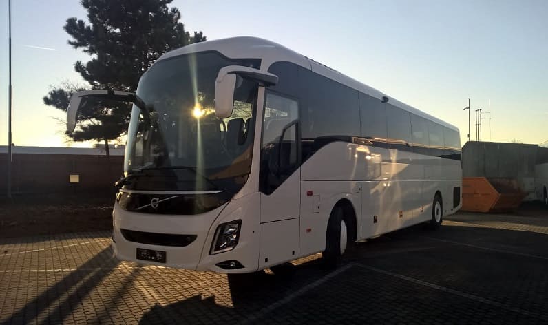 Italy: Bus hire in Calabria in Calabria and Italy
